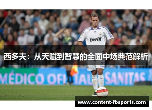 西多夫:从天赋到智慧的全面中场典范解析 西多夫:从天赋到智慧的全面中场典范解析