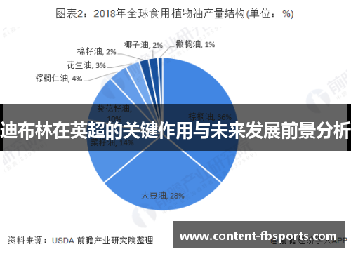 迪布林在英超的关键作用与未来发展前景分析
