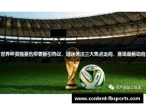 世界杯资格赛伤停更新引热议，球迷关注三大焦点走向，赛场最新动向