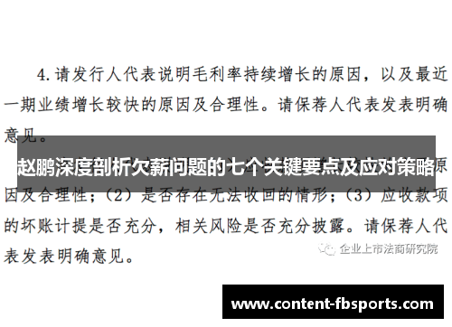 赵鹏深度剖析欠薪问题的七个关键要点及应对策略