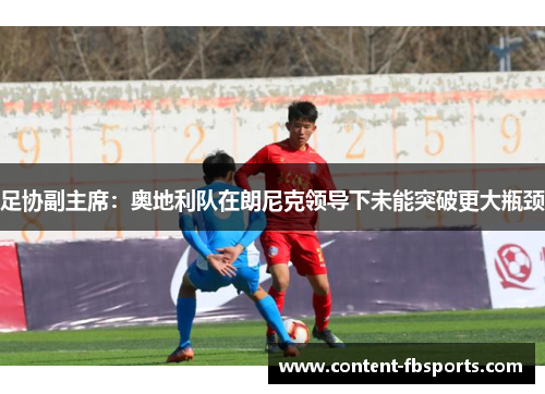 足协副主席：奥地利队在朗尼克领导下未能突破更大瓶颈