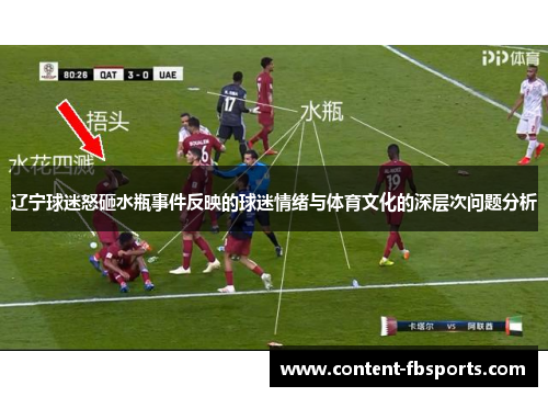 辽宁球迷怒砸水瓶事件反映的球迷情绪与体育文化的深层次问题分析